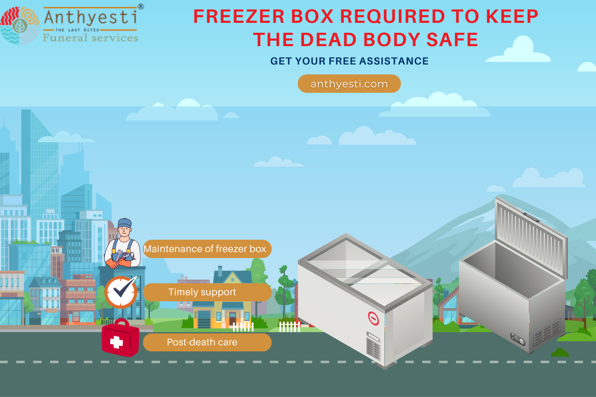 Why Is a Freezer Box Required to Keep the Dead Body Safe?