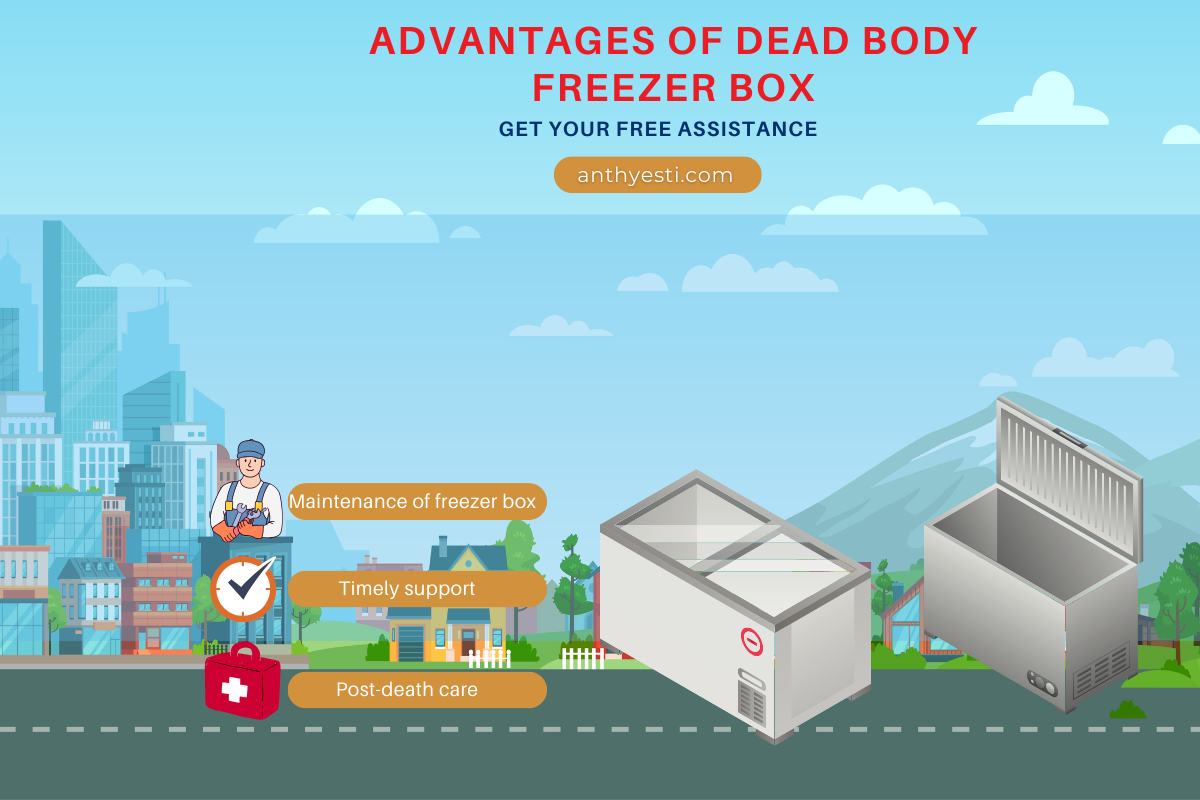 What Are the Advantages of Dead Body Freezer Box?