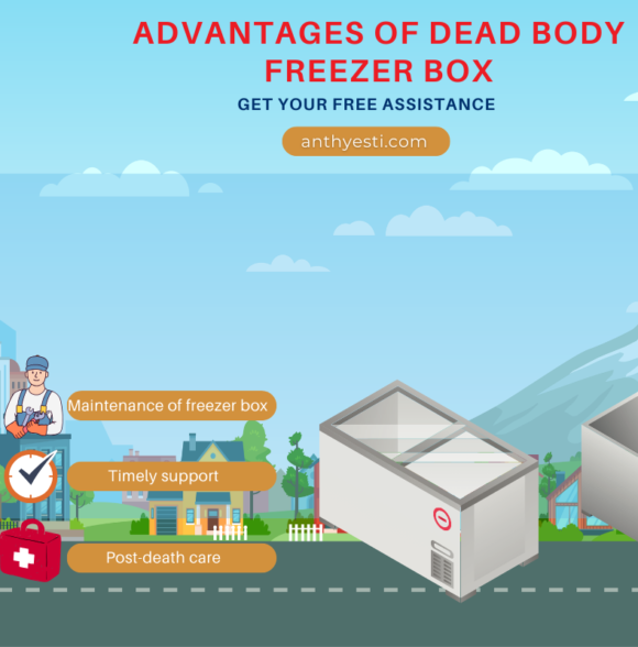 What Are the Advantages of Dead Body Freezer Box?