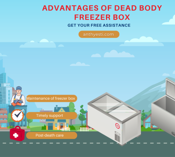 What Are the Advantages of Dead Body Freezer Box?