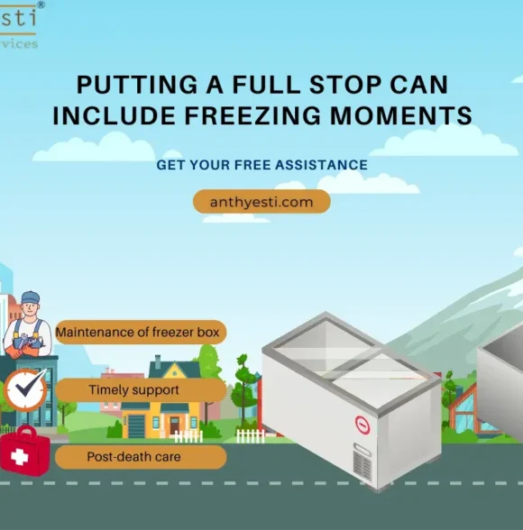 Putting a Full Stop Can Include Freezing Moments