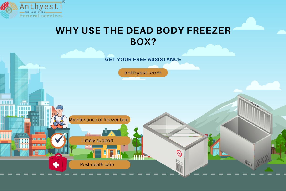 Why use the dead body freezer box?