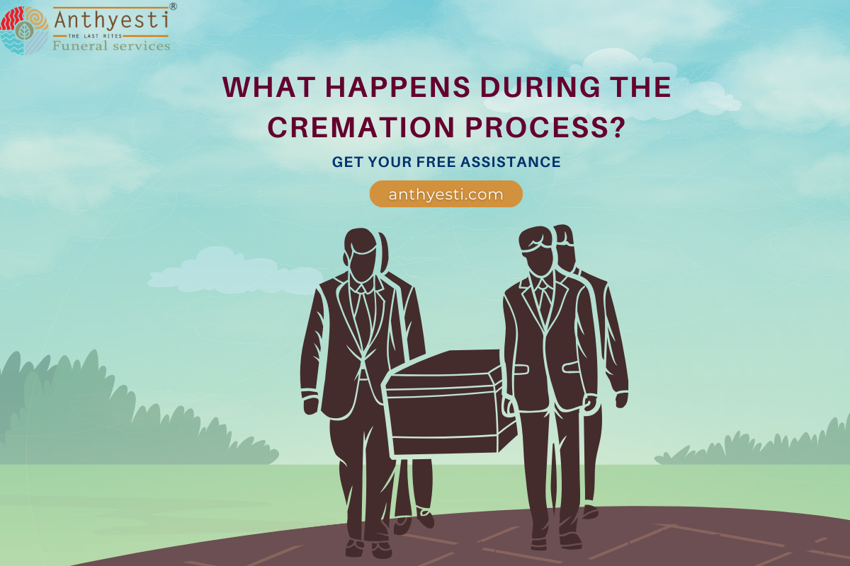 What Happens During the Cremation Process?