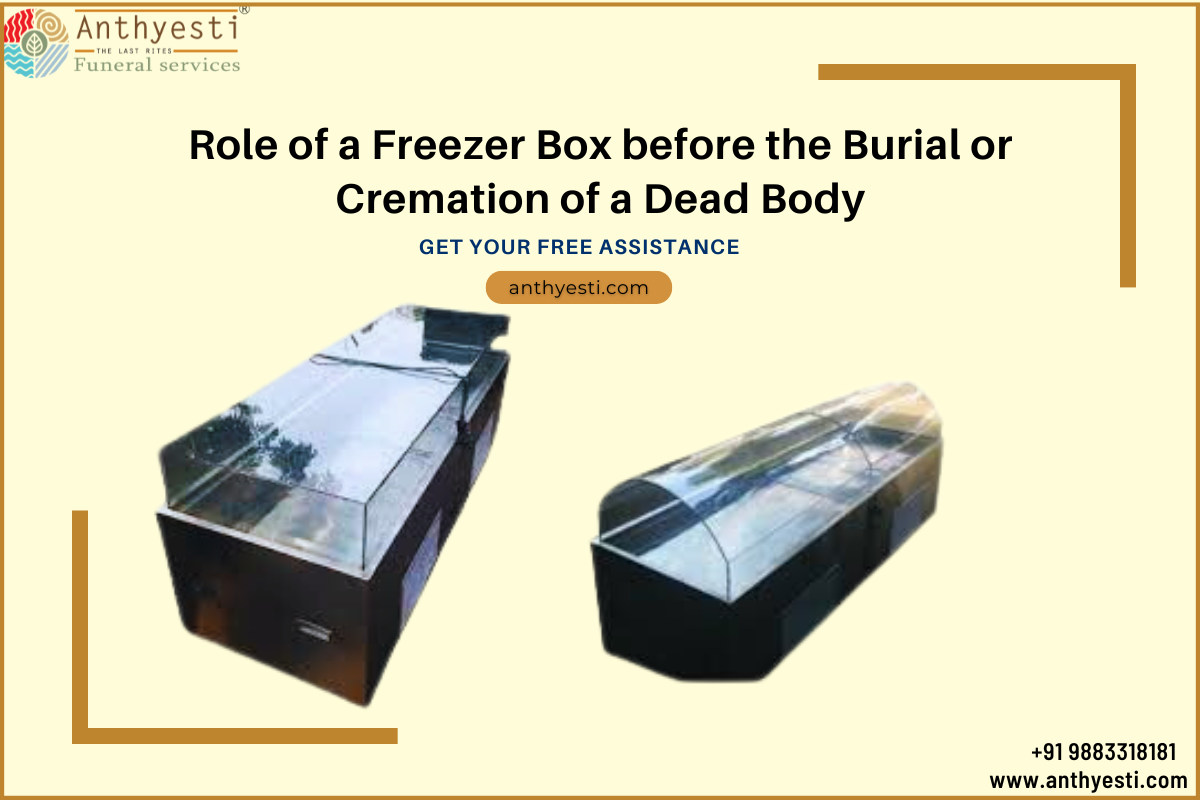 Role of a Freezer Box before the Burial or Cremation of a Dead Body