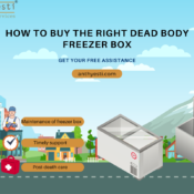 How to Buy the Right Dead Body Freezer Box