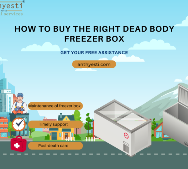 How to Buy the Right Dead Body Freezer Box