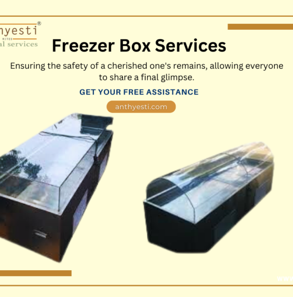 How to Buy the Right Dead Body Freezer Box