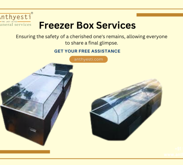 How to Buy the Right Dead Body Freezer Box