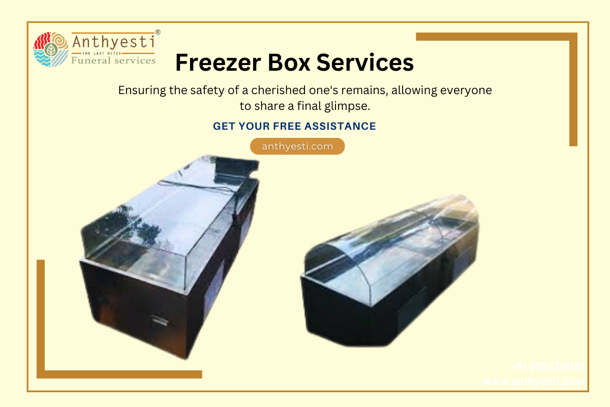 How to Buy the Right Dead Body Freezer Box