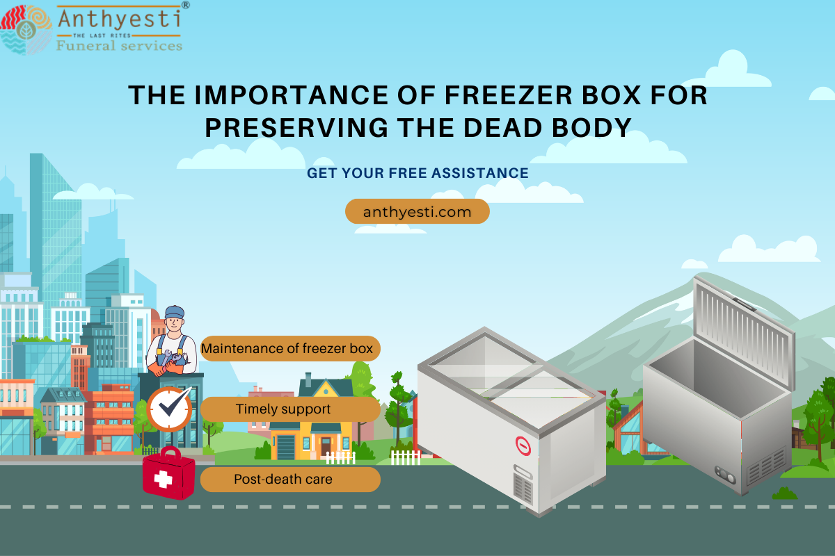 The Importance of Freezer Box for Preserving the Dead Body