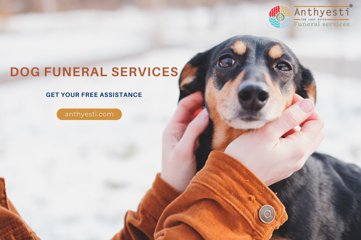 Dog Funeral Services Near Me