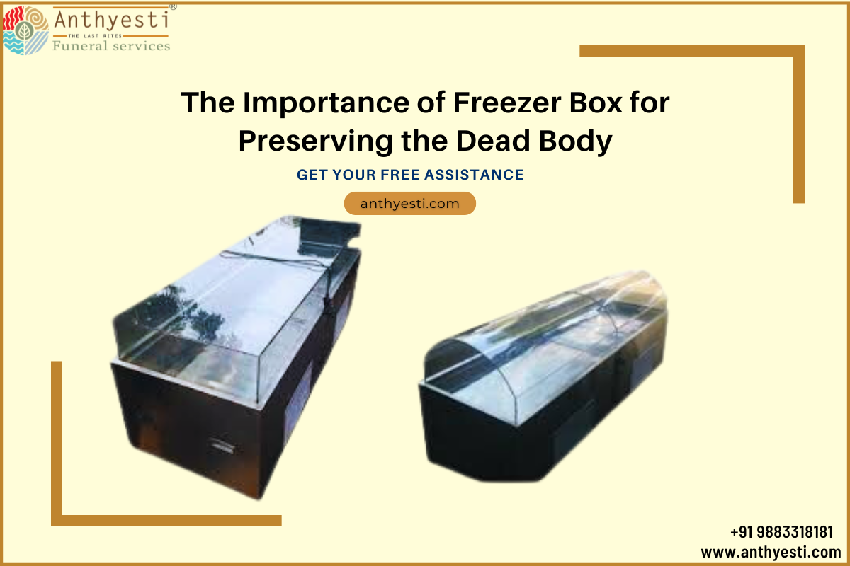 The Importance of Freezer Box for Preserving the Dead Body