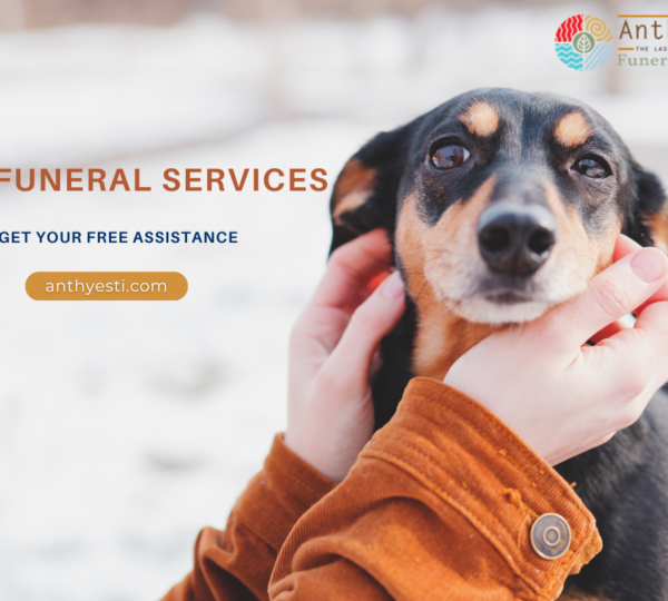 Dog Funeral Services Near Me