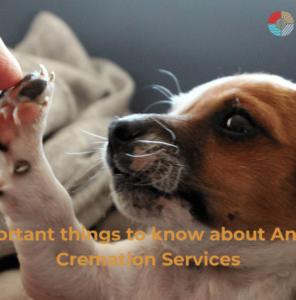 Important things to know about Animal Cremation Services