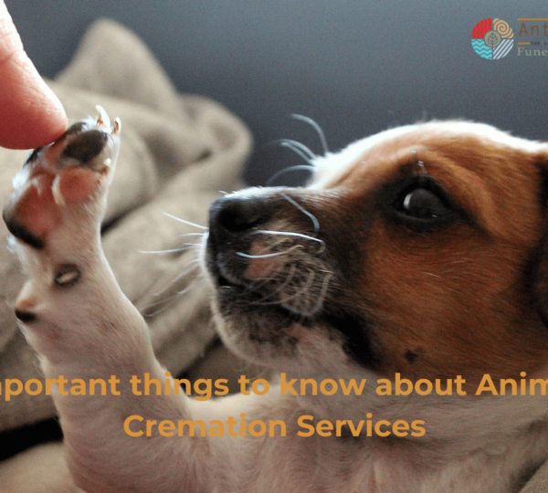 Important things to know about Animal Cremation Services