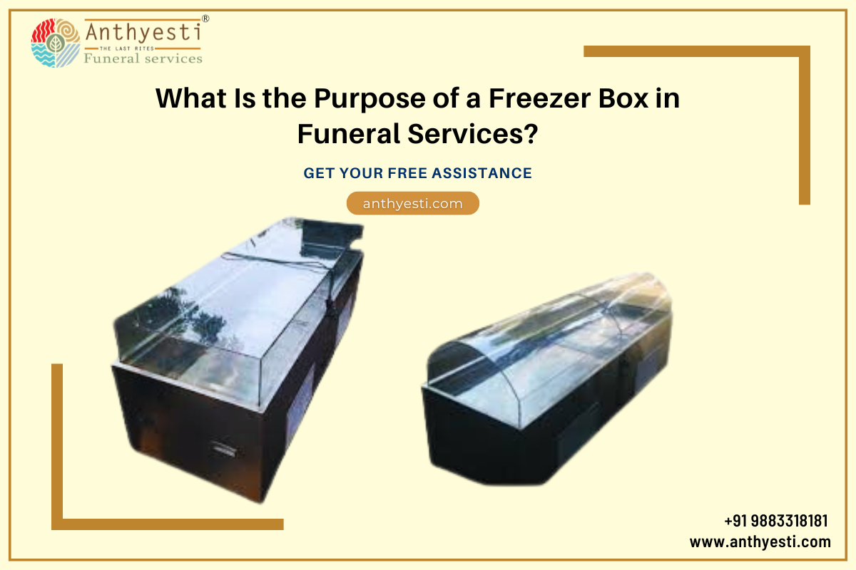 What Is the Purpose of a Freezer Box in Funeral Services?