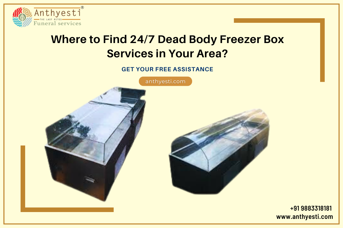 Where to Find 24/7 Dead Body Freezer Box Services in Your Area?