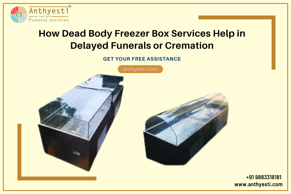 How Dead Body Freezer Box Services Help in Delayed Funerals or Cremation