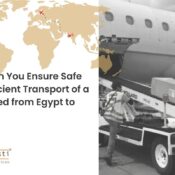 How Can You Ensure Safe and Efficient Transport of a Deceased from Egypt to India?