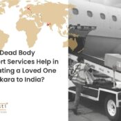 How Do Dead Body Transport Services Help in Repatriating a Loved One from Ankara to India?