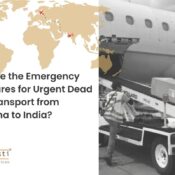 What Are the Emergency Procedures for Urgent Dead Body Transport from Botswana to India